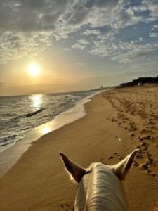 Apartment Albufeira Algarve 外观 照片